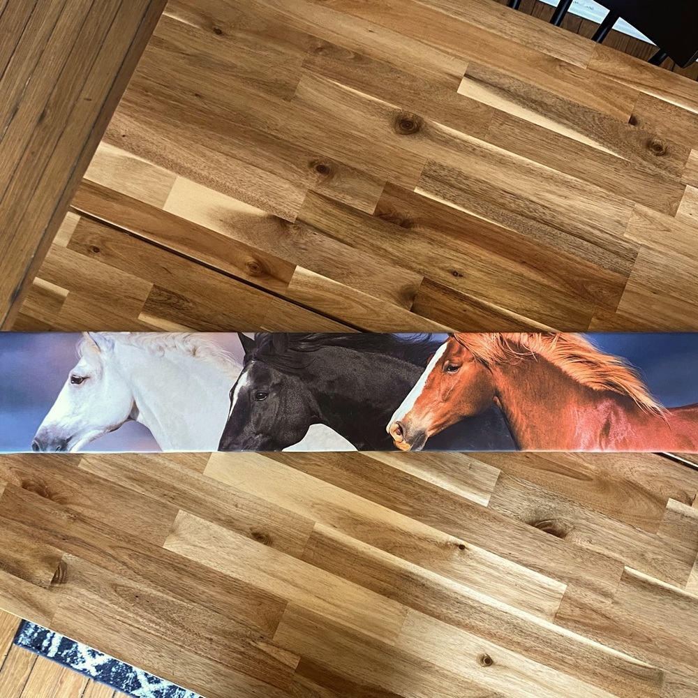 Hobby lobby horse picture 36x6